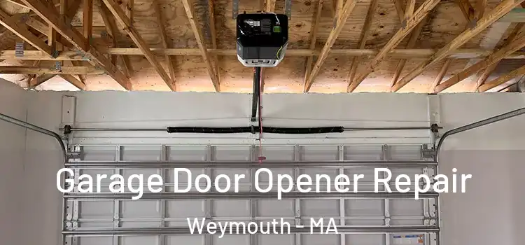  Garage Door Opener Repair Weymouth - MA